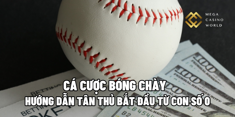 cá cược bóng chày