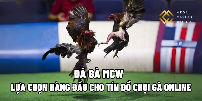 đá gà MCW