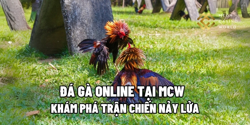 đá gà online