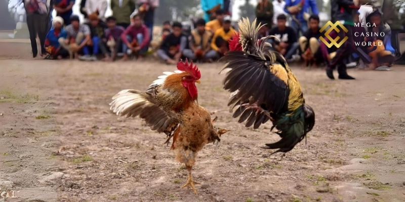 Hình ảnh rõ ràng, âm thanh mạnh mẽ